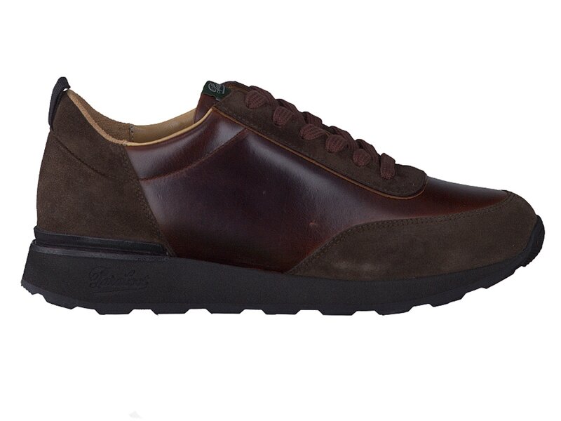 Paraboot Sneakers Bruin