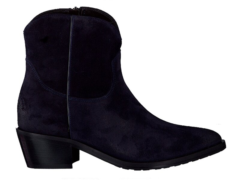 Verduyn Boots Met Hak Blauw