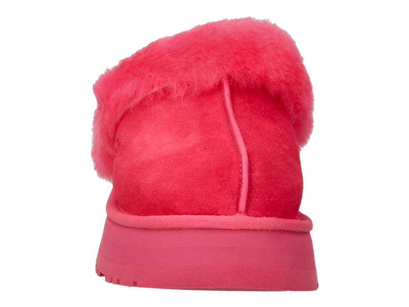 Ugg Slippers Rose