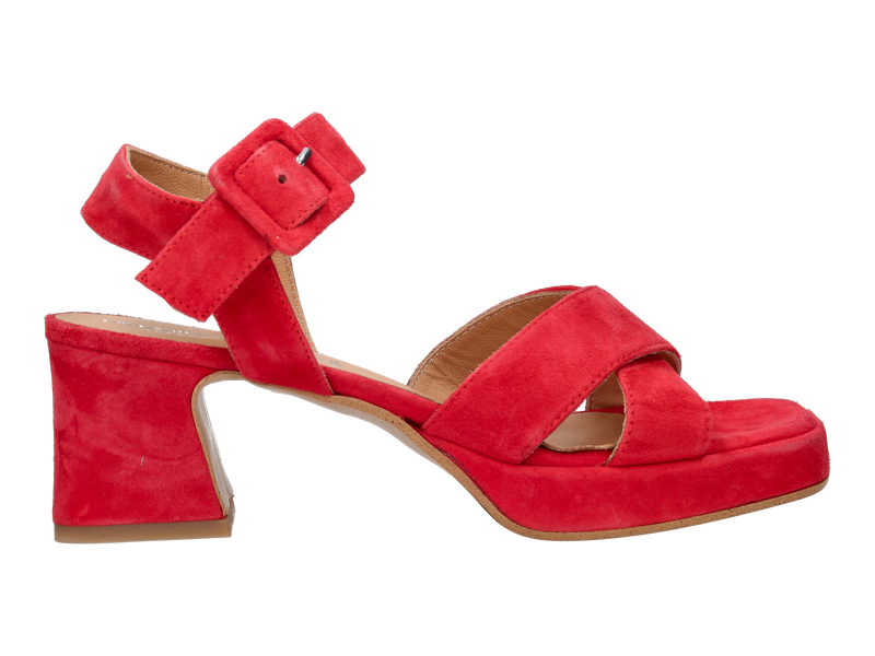 Debutto Donna Sandalen Rood