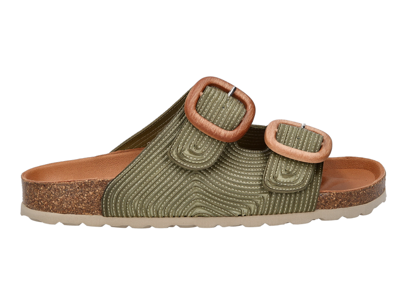 Voir le produit 'Verbenas Tongues Kaki' (en anglais) Verbenas Tongues Kaki