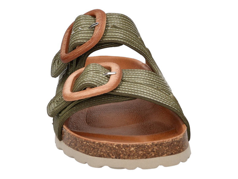 Voir le produit 'Verbenas Tongues Kaki' (en anglais) Verbenas Tongues Kaki