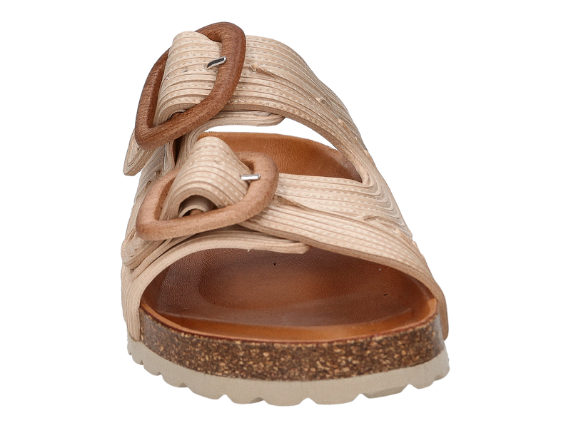 Voir le produit 'Verbenas Tongues Beige' (en anglais) Verbenas Tongues Beige