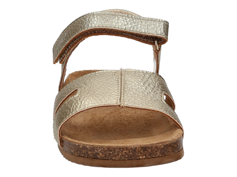 Clic Sandals Gold