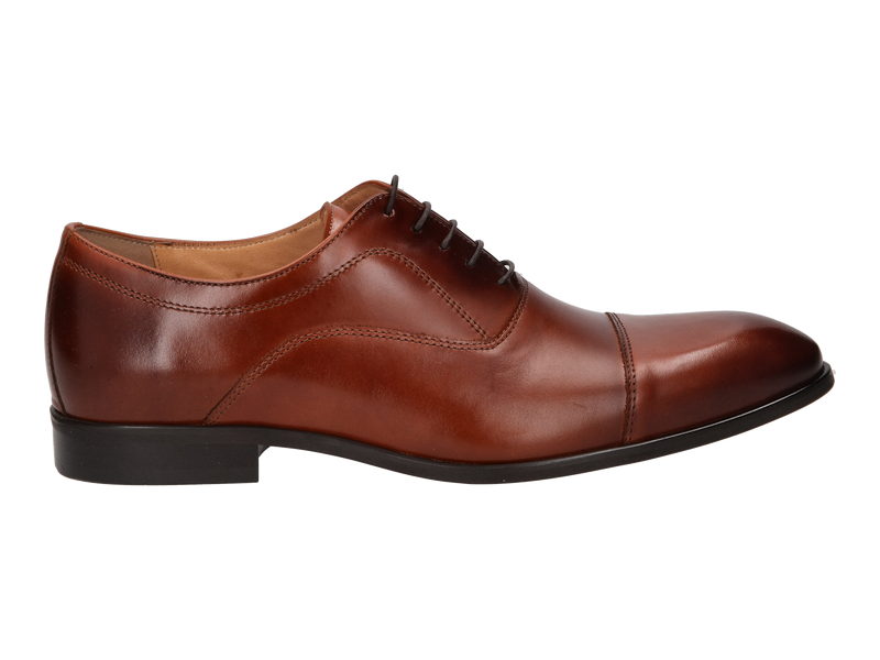 Conhpol Lace Shoes Cognac