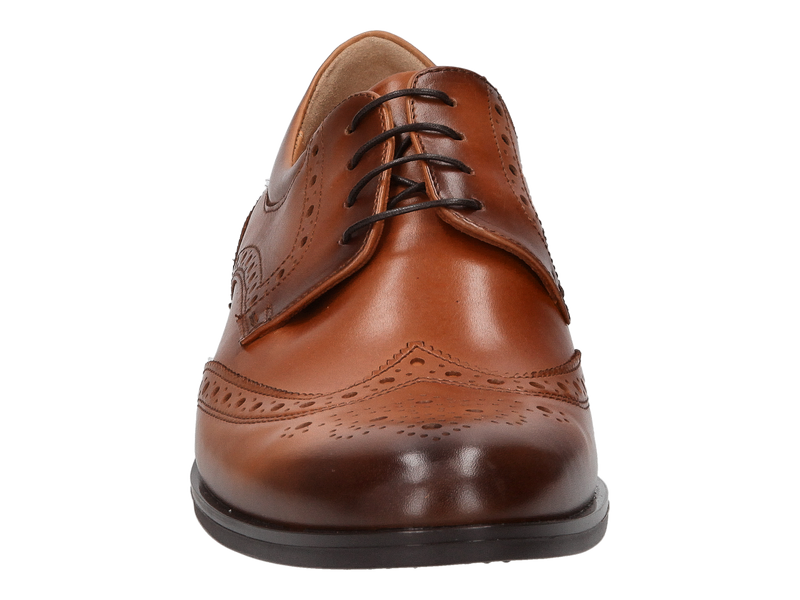 Conhpol Lace Shoes Cognac