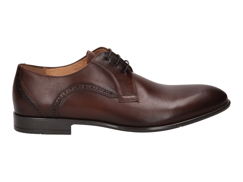 Conhpol Lace Shoes Cognac