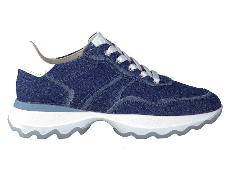 Dlsport Sneakers Blauw