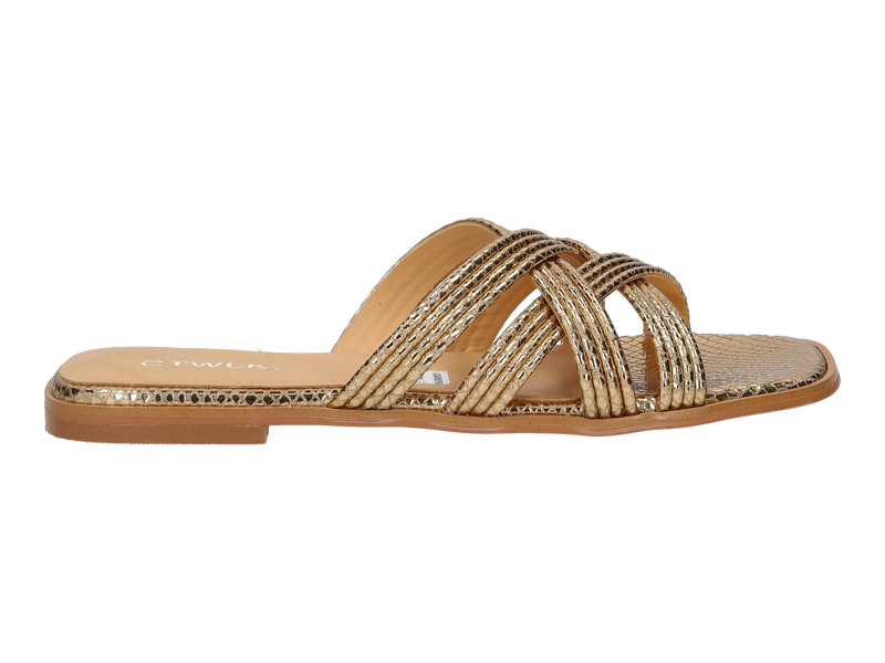 Ctwlk Slippers Goud