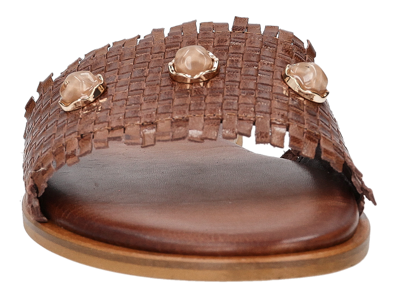 Caryatis Muilen Bruin