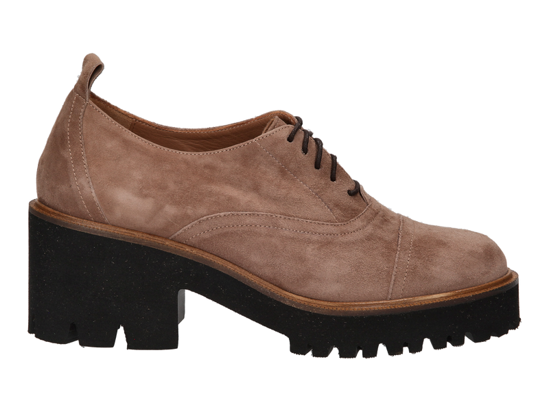 Cervone Lace Shoes Beige