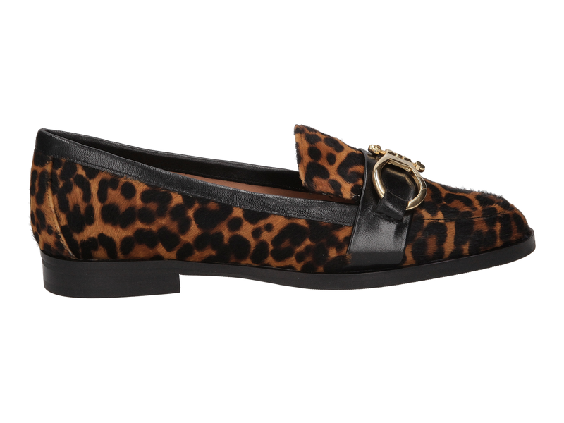 Roberto Festa Mocassins Brown