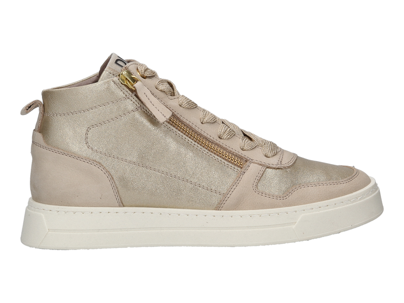 Dlsport Sneakers Gold