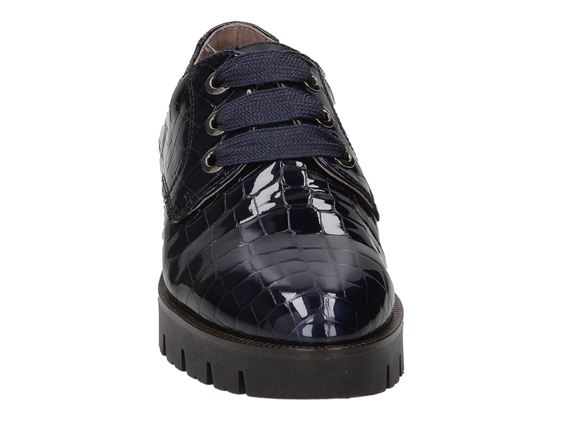 Dlsport Lace Shoes Blue