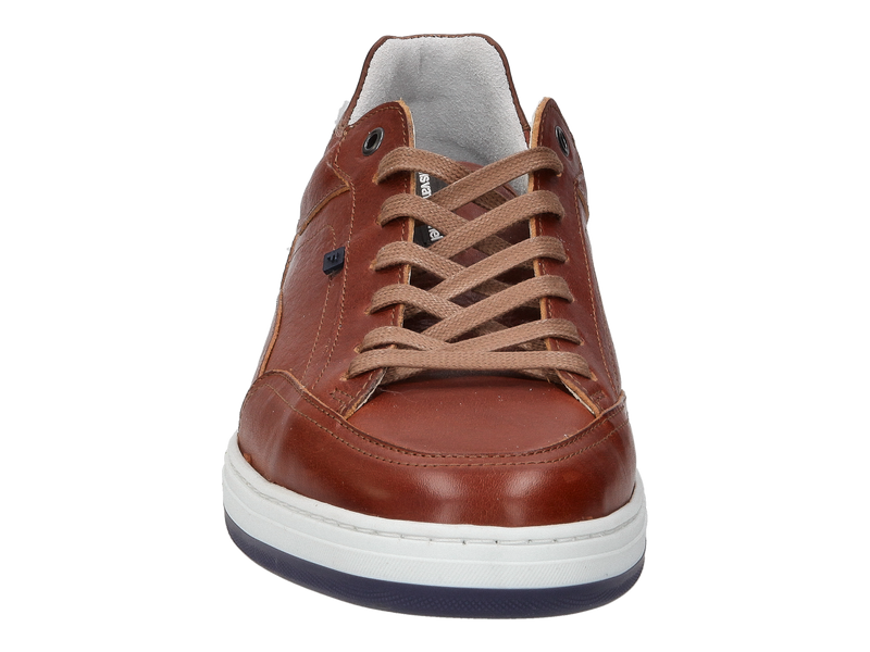 Floris Van Bommel Sneakers Cognac