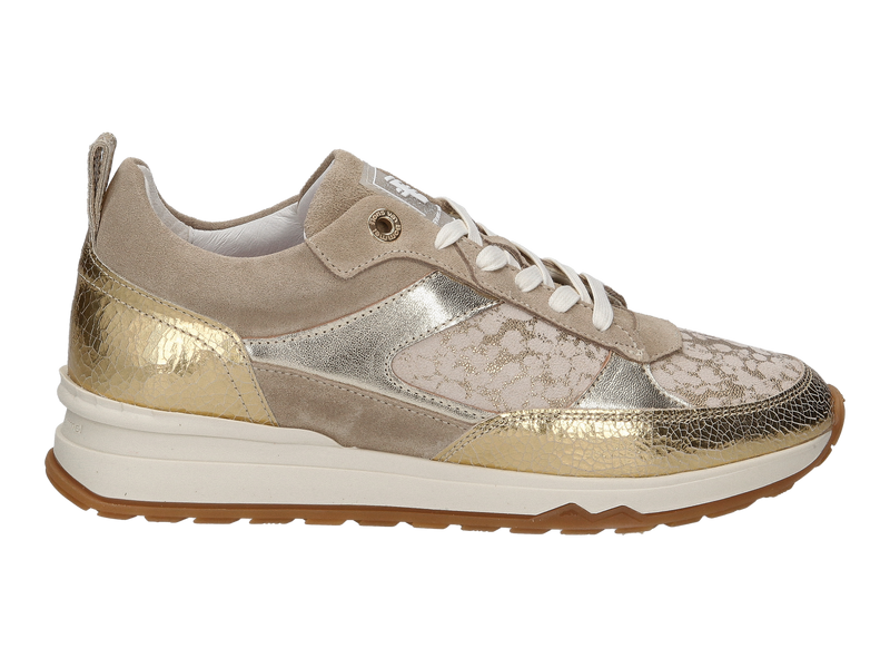 Floris Van Bommel Sneakers Goud