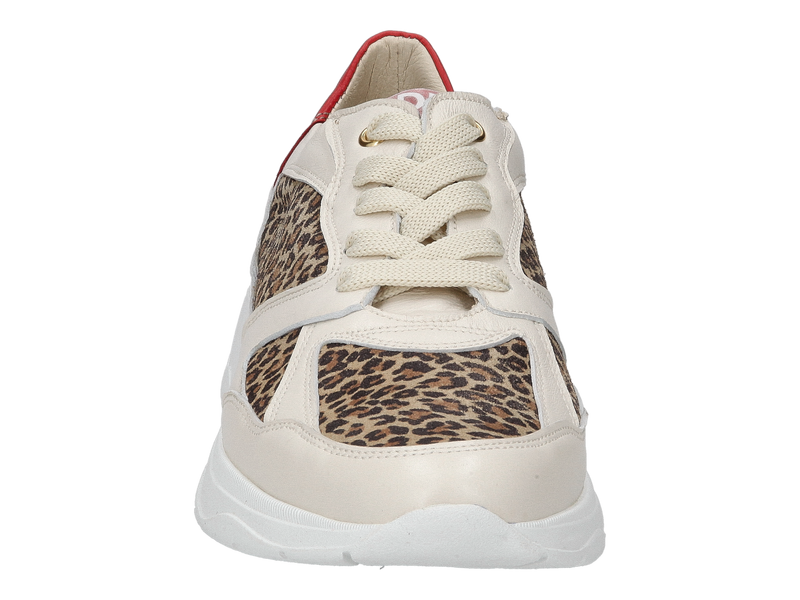 Dlsport Sneakers Beige