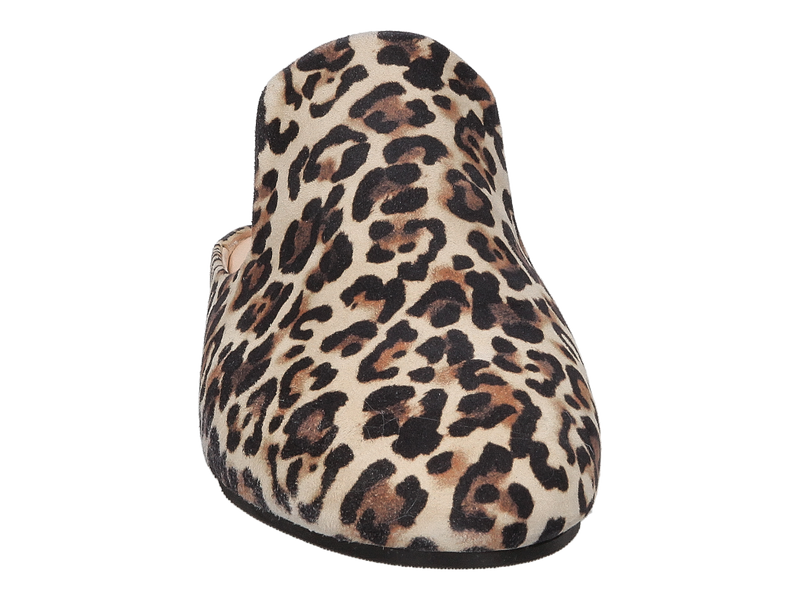 Louisa Muilen Luipaard