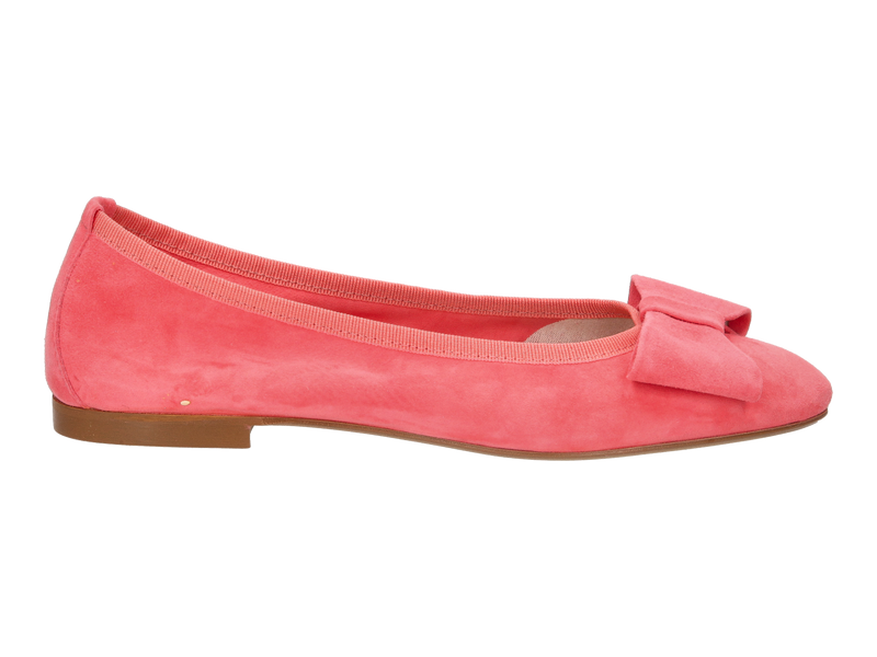 Gianluca Pisati Ballerinas Rose