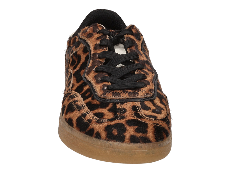 Hoff Sneakers Brown