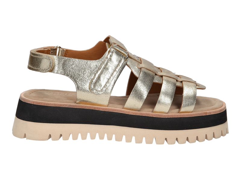 Maruti Sandalen Goud