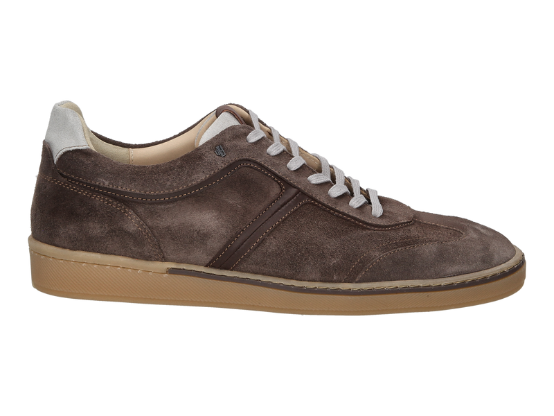 Van Bommel Sneakers Taupe