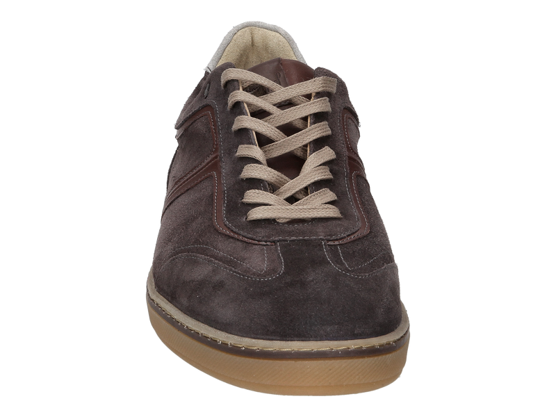 Van Bommel Sneakers Gray