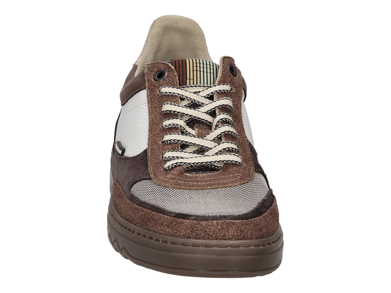 Floris Van Bommel Sneakers Cognac