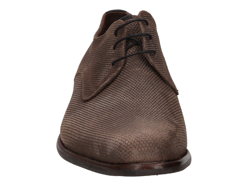 Floris Van Bommel Chaussures à Lacets Taupe