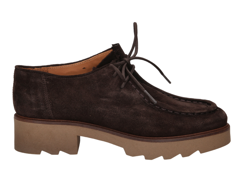 Ctwlk Chaussures à Lacets Brun