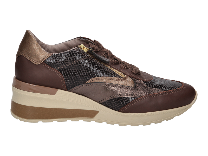 Dlsport Sneakers Brown