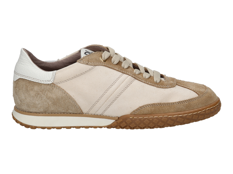 Dlsport Sneakers Beige