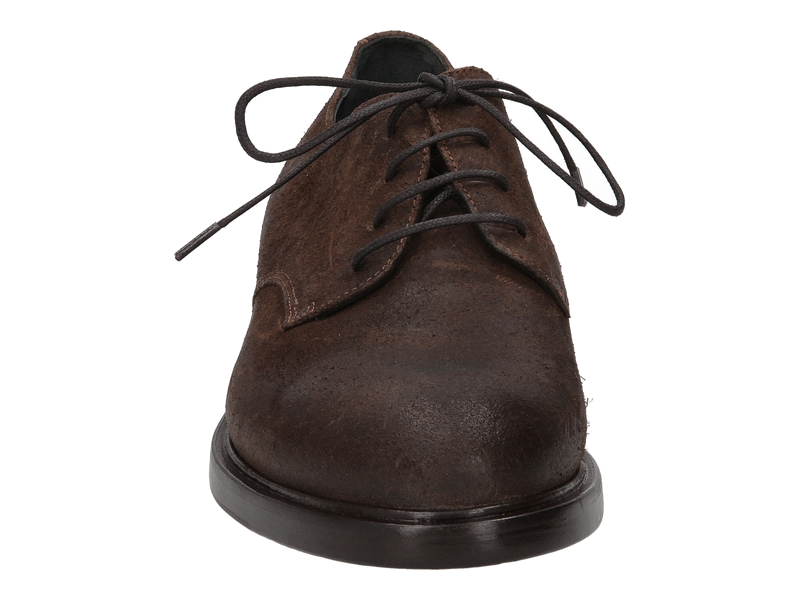 Ducanero Lace Shoes Brown
