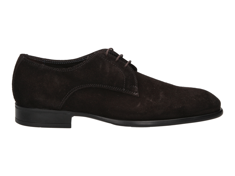 Giorgio Lace Shoes Brown