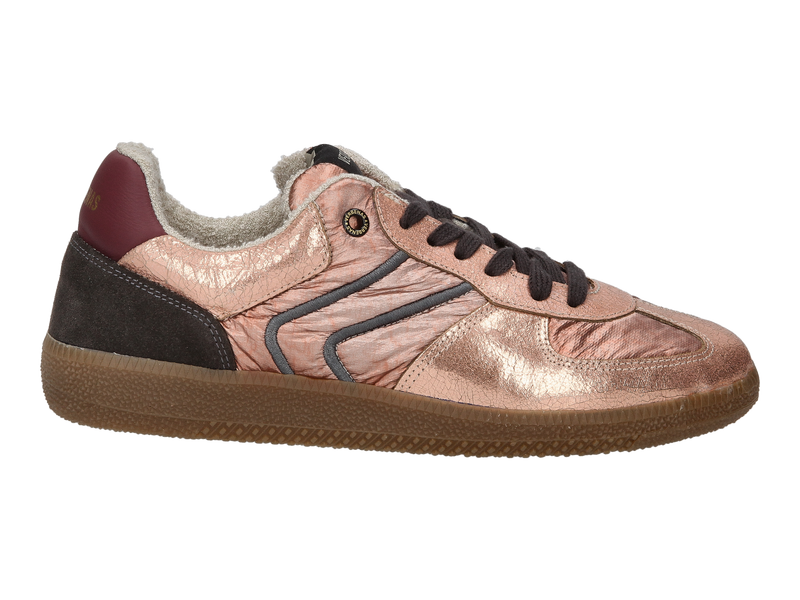 Verbenas Baskets Rose