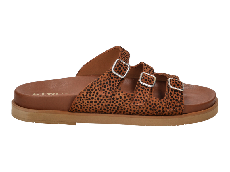 Ctwlk Slippers Bruin