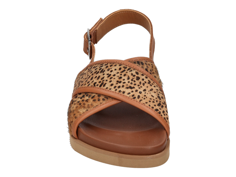 Ctwlk Mocassins Luipaard