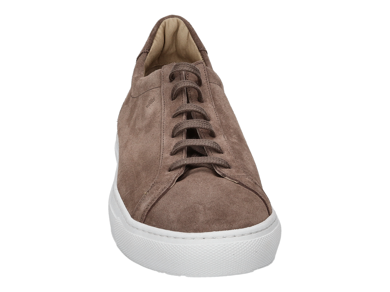 Van Bommel Sneakers Taupe