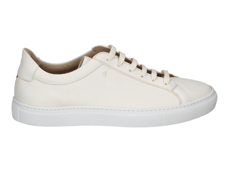 Van Bommel Sneakers White