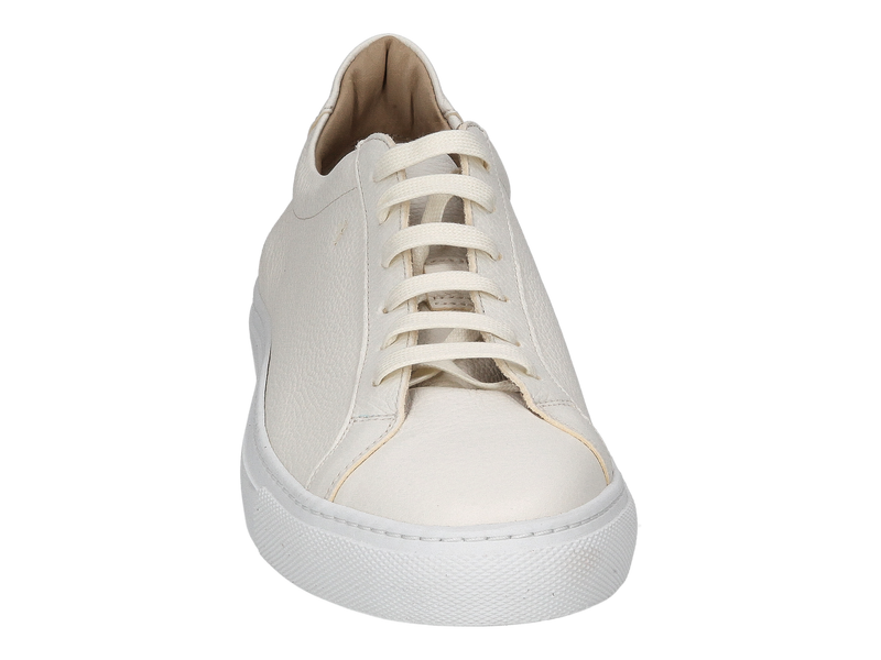 Van Bommel Sneakers White