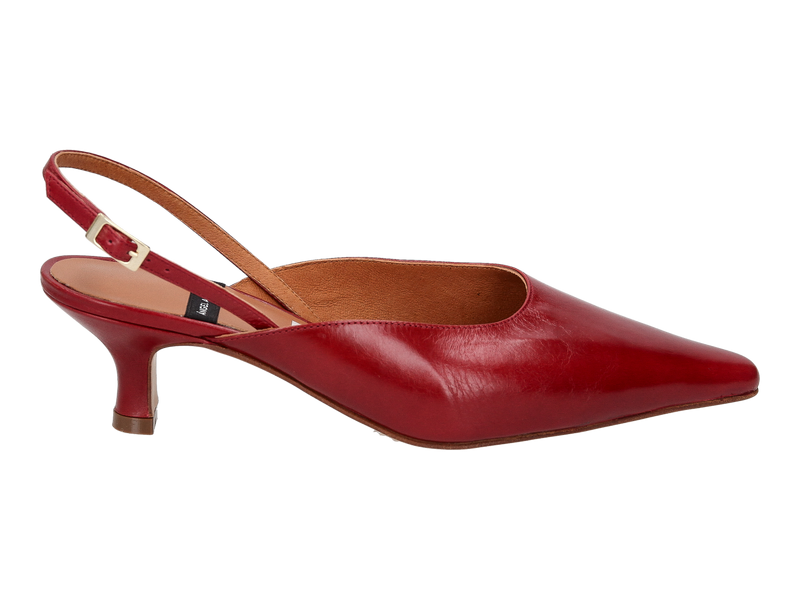 Angel Alarcon Slings Rood