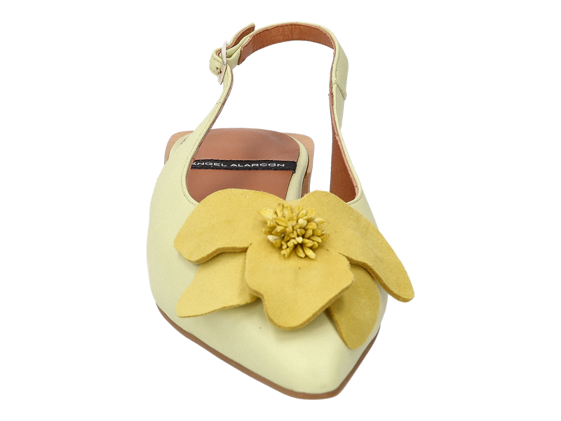 Angel Alarcon Slings Geel