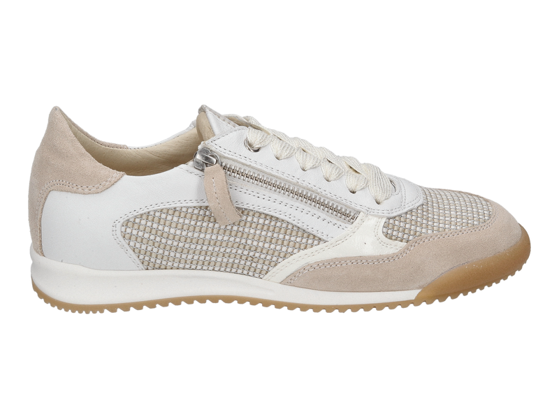 Dlsport Sneakers White