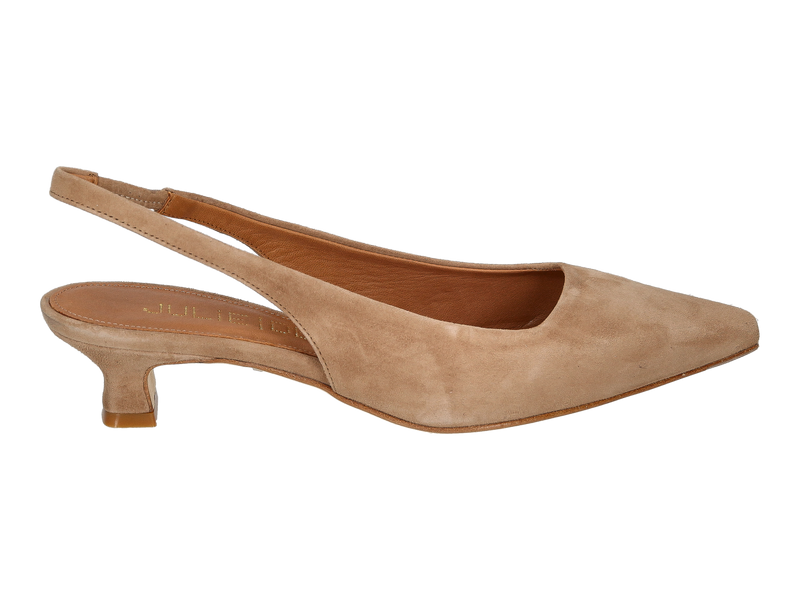 Julie Dee Slings Camel