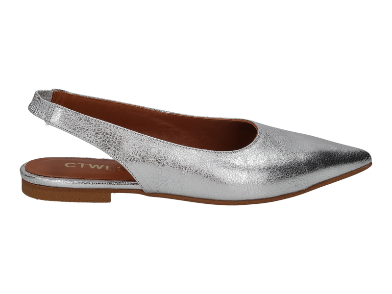 Ctwlk Slings Zilver
