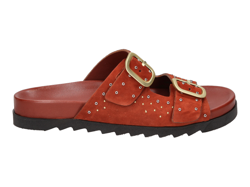 View product 'Antenora Tongs Cognac' Antenora Tongs Cognac