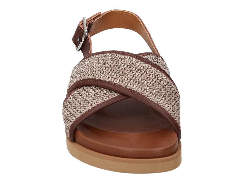 Ctwlk Mocassins Bruin