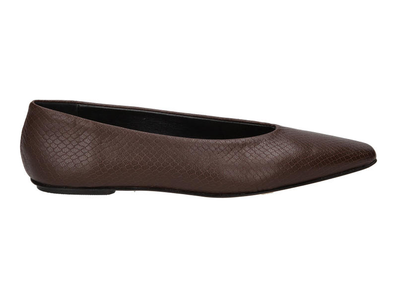 Odare Ballerines Brun