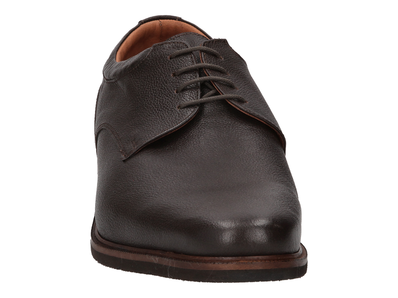 Ambiorix Lace Shoes Black