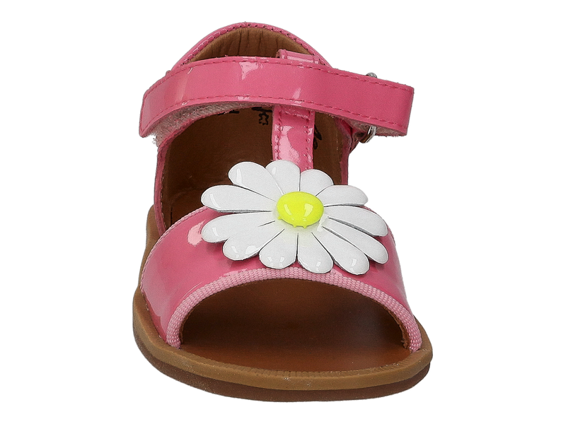 Pom D'api Sandals Rose